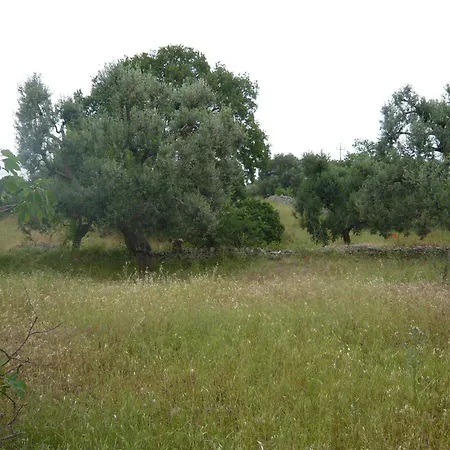 Conte 2 Indipendente In Salento Casa de Férias Francavilla Fontana