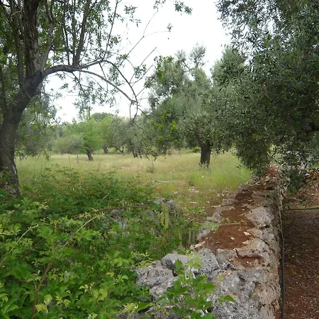 Conte 2 Indipendente In Salento