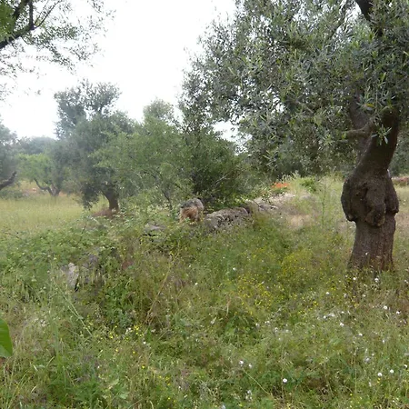 Conte 2 Indipendente In Salento * Francavilla Fontana