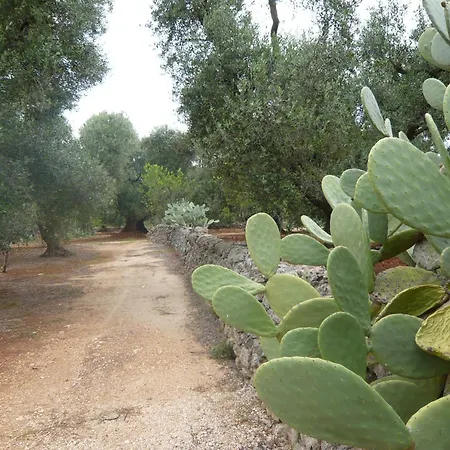 Conte 2 Indipendente In Salento Casa de Férias *