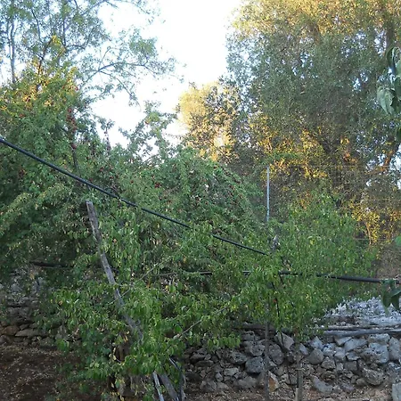 Conte 2 Indipendente In Salento Holiday home
