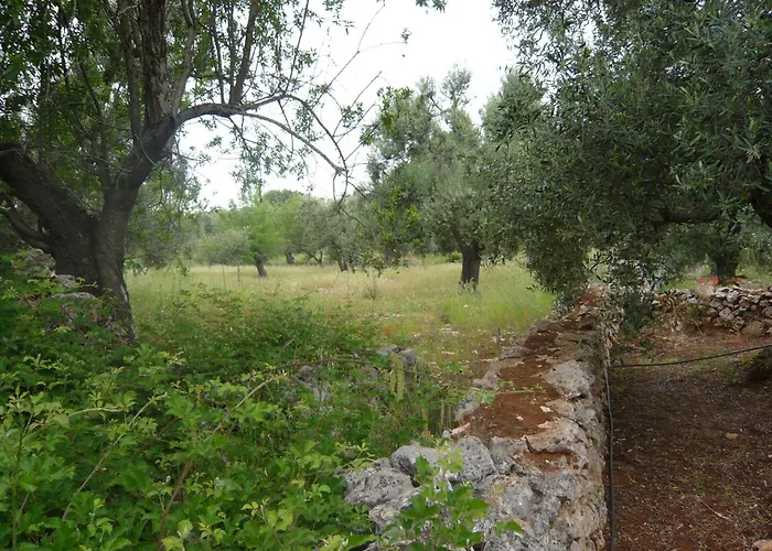 Conte 2 Indipendente In Salento