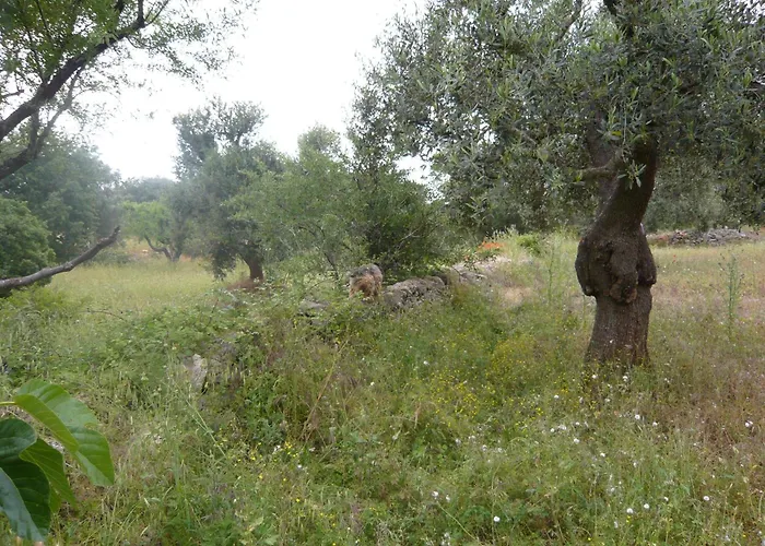 Conte 2 Indipendente In Salento * Франкавилла-Фонтана
